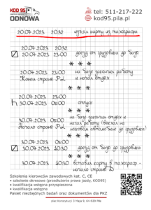 как расписать ручной ввод